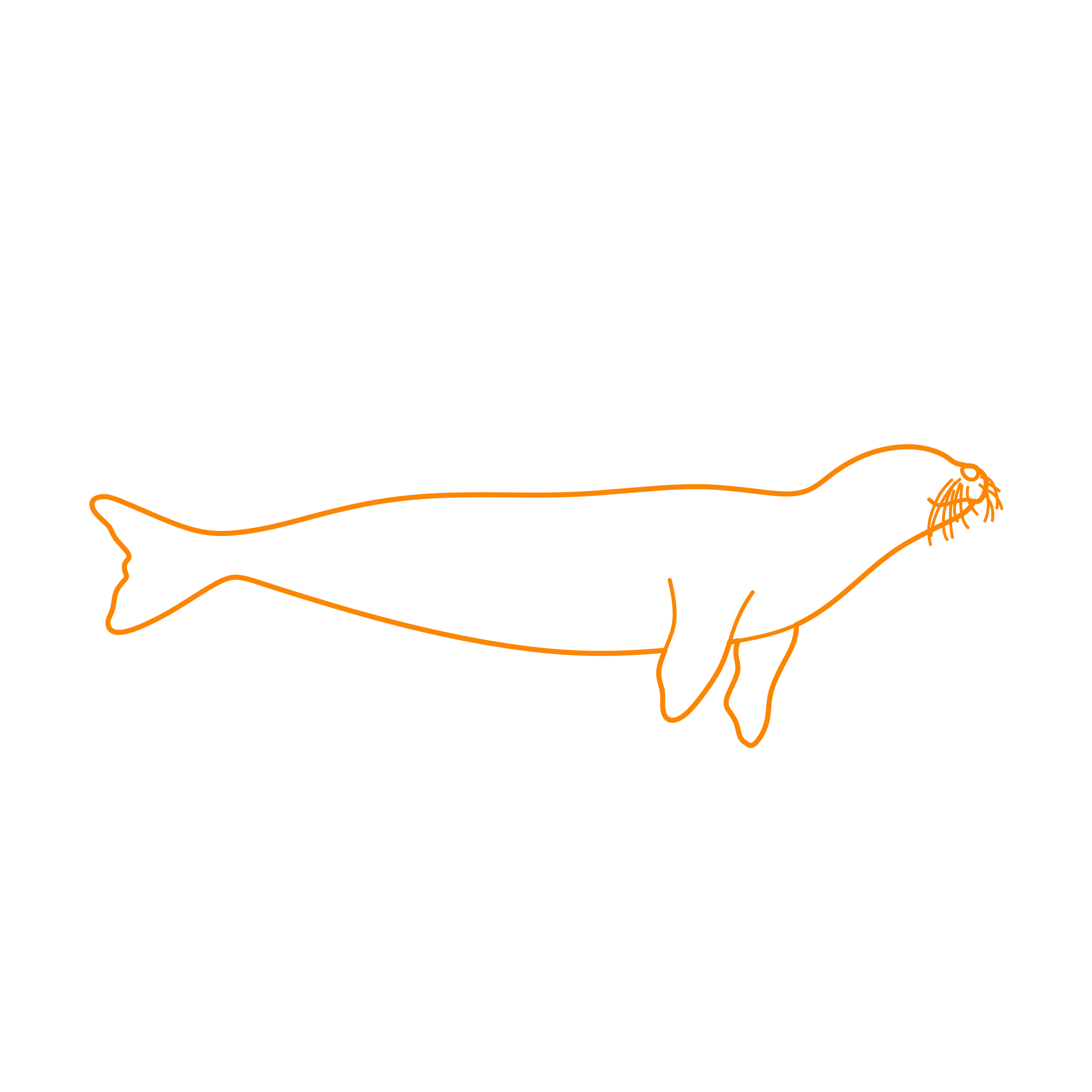 Animals Seals Bearded Seal Tracing Svg Vector Free Vectors
